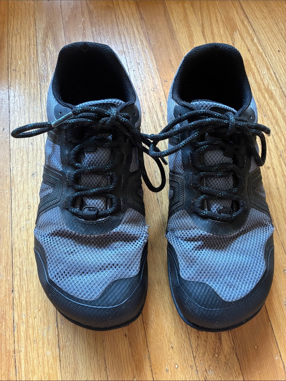 Xero Mesa Trail Lightweight Trail Shoes, Waterproof, Women's 10